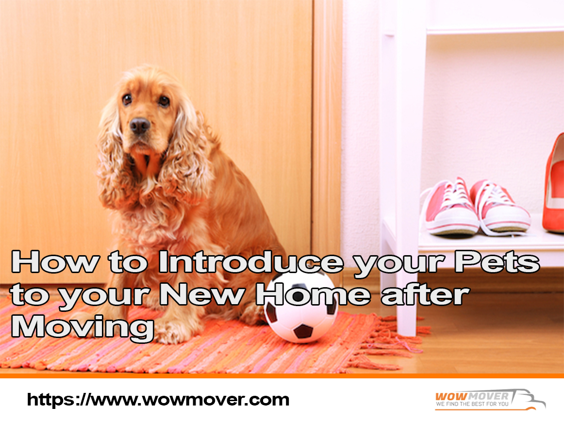 How to Introduce your Pets to your New Home after  Moving