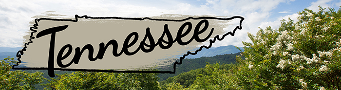 moving to Tennessee