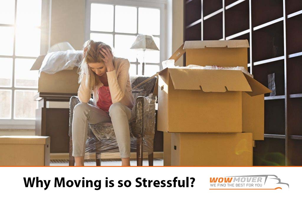 Why Moving is so Stressful?