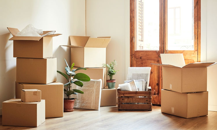 Best Local Moving Companies of