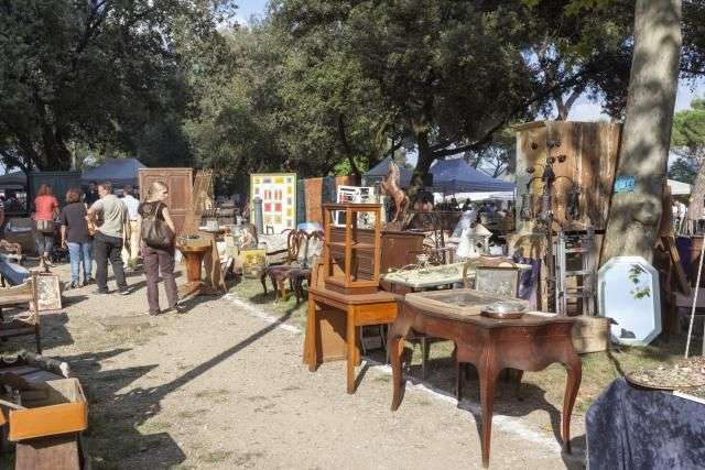 organize a garage sale to get rid of old furniture