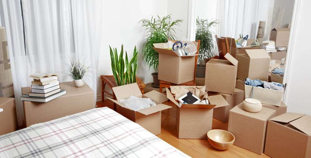 Cardboard vs Plastic Boxes: Which is Better for Moving?