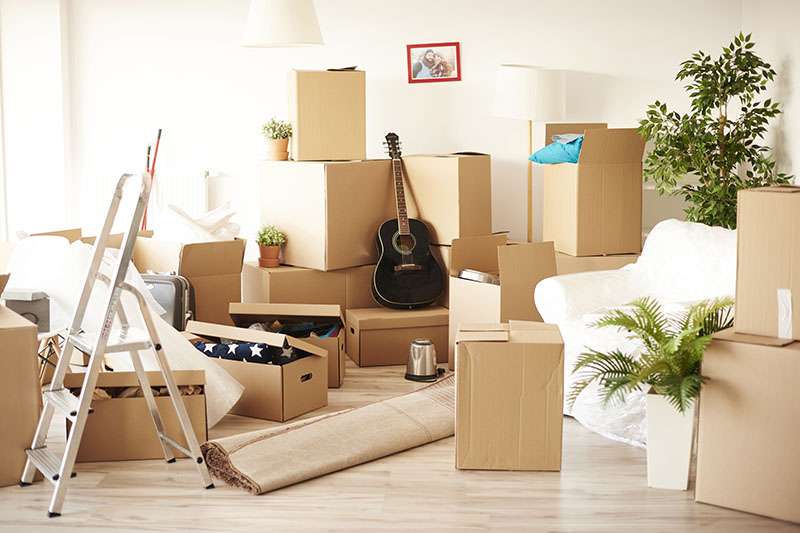 What Does a Celebrity’s Moving Day Look Like?