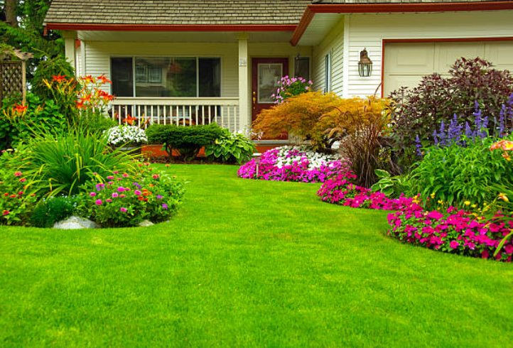 Backyard Improvements That Add Value to Your Home