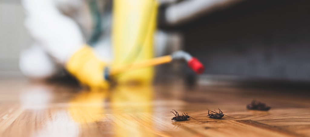 Simple Ways to Prevent Pests in Your Rental Property